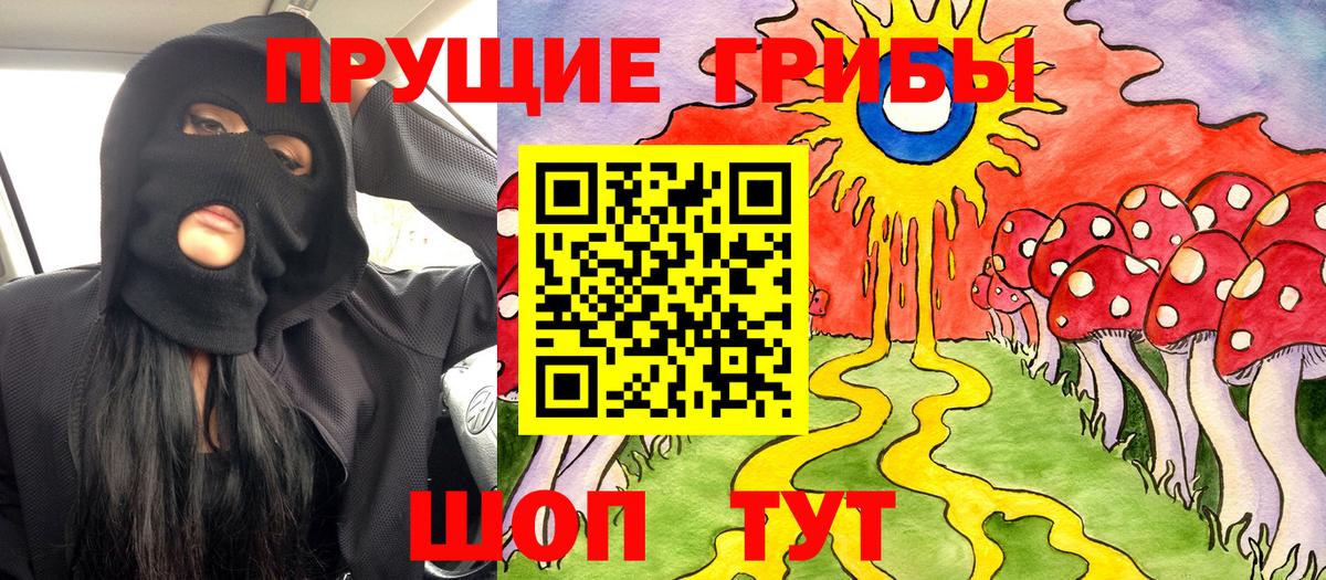 Галлюциногенные грибы Psilocybe Лабинск